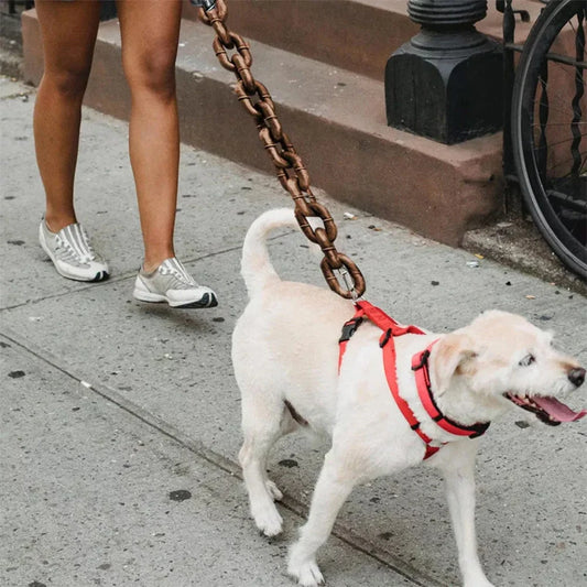 Aura Leash Chain